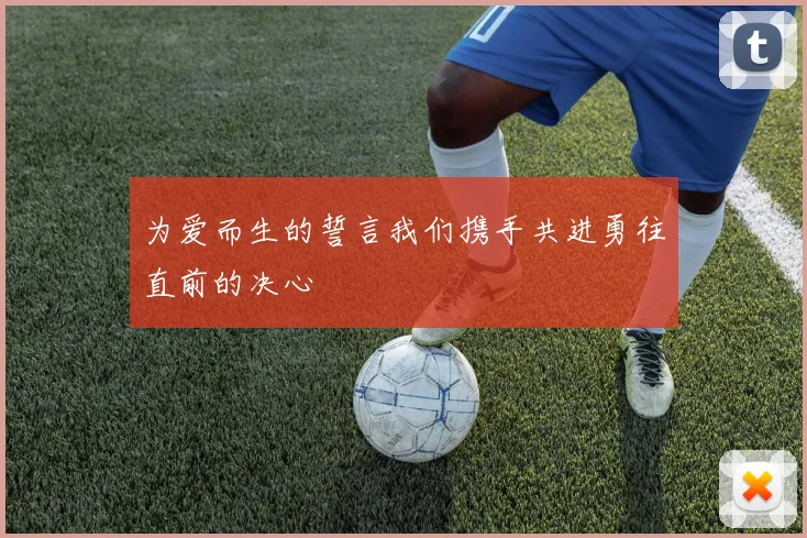 为爱而生的誓言我们携手共进勇往直前的决心