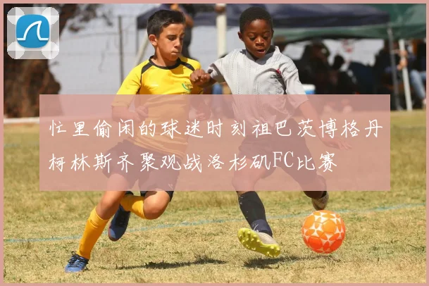 忙里偷闲的球迷时刻祖巴茨博格丹柯林斯齐聚观战洛杉矶FC比赛