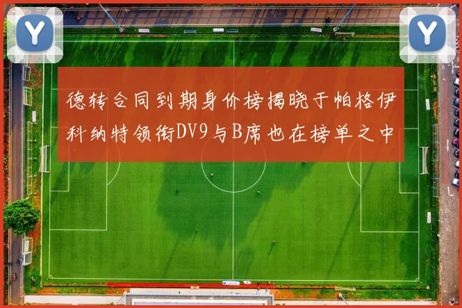 德转合同到期身价榜揭晓于帕格伊科纳特领衔DV9与B席也在榜单之中