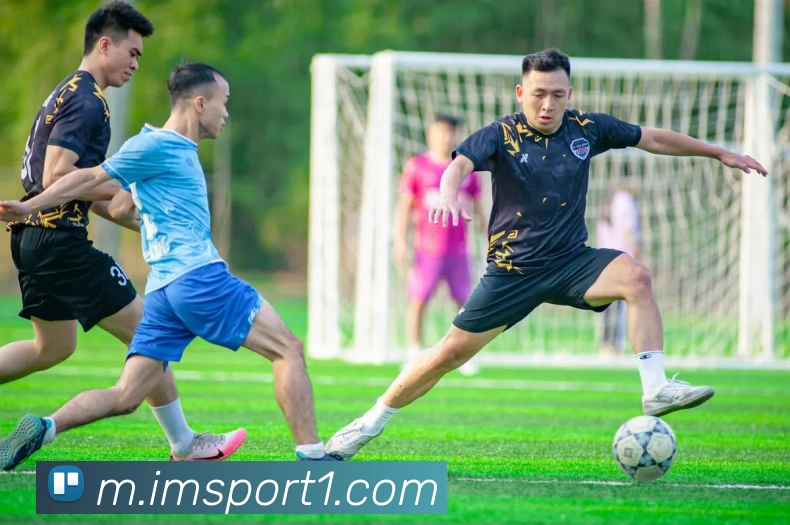 IM足球体育平台生态图