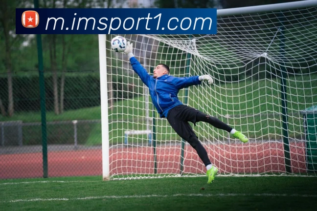 IM足球体育全站App